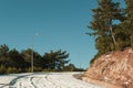 Bending mountain road with snow among the pine trees