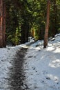 A Bending Snowy Hiking Trail Royalty Free Stock Photo