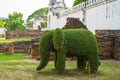 The Bending tree of elephant