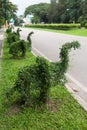 Bending trees in the shape of elephant