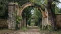 Old stone wall framing tree in background Royalty Free Stock Photo