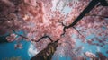 Beneath the Blossoming Magnolia Tree Generative AI Royalty Free Stock Photo