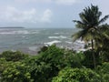 Tropical Tranquility: Palm-Fringed Beach Meeting the Azure Sea