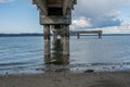 Beneath Dash Point Pier 2 Royalty Free Stock Photo