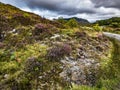 Walking Path through Heathered Hillsides in Scottish Highlands