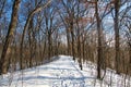 Beneath a partly cloudy blue sky, a fresh snowfall covers the landscape along the Ice Age Trail.