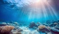 Beneath the surface of the ocean Royalty Free Stock Photo