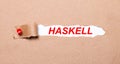 Beneath the torn strip of kraft paper attached with a red button is a white paper HASKELL