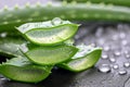 Beneficial Aloe vera care green. Generate Ai Royalty Free Stock Photo