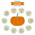 Benefit health of pumpkin, info graphic food vector