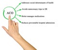 Benefits of Accountable care organization