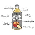 Benefits of apple cider vinegar info graphic illustration