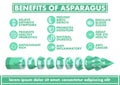 Benefits of Asparagus Infographics - Vector flat design