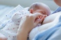 Benefits of breastfeeding for newborns Royalty Free Stock Photo