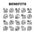 Benefits For Business Collection Icons Set Vector