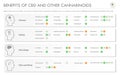 Benefits of CBD and Other Cannabinoids horizontal business infographic Royalty Free Stock Photo