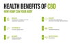 Benefits of CBD for your body, white poster with infographic. Health benefits of Cannabidiol CBD from cannabis, hemp, marijuana,