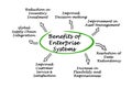 Benefits of Enterprise Systems