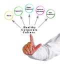 Healthy Corporate Culture Royalty Free Stock Photo