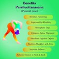 Parshvottanasana yoga pose. Benefits. Royalty Free Stock Photo