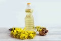 The benefits of rapeseed oil: a bottle of rapeseed oil, a bouquet of flowering rapeseed branches, on a light background, space for