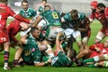 Benetton Treviso vs Scarlets Rugby