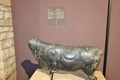 Benevento - Toro Apis nel Museo Arcos