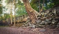 Beng Mealea or Bung Mealea temple. Siem Reap. Cambodia. Panorama Royalty Free Stock Photo