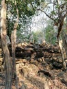 Beng Mealea, Jungle Temple, one of the most mysterious temples at Angkor, Cambodia