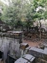 Beng Mealea, Jungle Temple, one of the most mysterious temples at Angkor, Cambodia