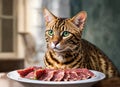 Bengal breed cat eats pieces of raw meat from a bowl. Pets