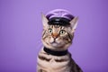 Bengal Cat Dressed As A Policeman On Lavender Color Background