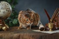 Bengal cat, vintage items, books and manuscripts on the table on a dark background. Space for your text