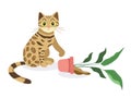 Bengal cat with a flower pot. Cartoon design.