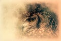 The Bengal Eagle-Owl sketch. Digital illustration