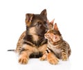 Bengal kitten playing with German shepherd puppy. isolated on white background Royalty Free Stock Photo