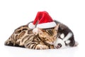 Bengal kitten in santa hat sleep with Siberian Husky puppy. isolated on white background