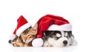 Bengal kitten and Siberian Husky puppy sleeping together in santa hats. isolated on white background Royalty Free Stock Photo