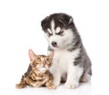 Bengal kitten and Siberian Husky puppy together. isolated on white background Royalty Free Stock Photo