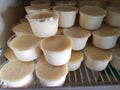 Bengal`s famous yogurt `mishti doi` is kept in some plastic cup