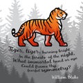 Bengal Tiger in forest poster design. Double exposure vector template. Old poem illustration on foggy background. Royalty Free Stock Photo