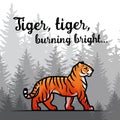 Bengal Tiger in forest poster design. Double exposure vector template. Old poem by William Blake illustration on foggy