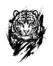 Bengal tiger. Graphic drawing. Realistic graphic illustration