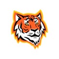 Bengal Tiger Head Mascot Royalty Free Stock Photo