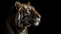 Bengal tiger. Illustration AI Generative Royalty Free Stock Photo