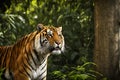 Bengal Tiger Roaring Midst High-Resolution Majesty, Bathed in Dappled Sunlight Amidst Dense Jungle Canopy