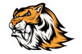 Bengal Tiger sports mascot logo. Tiger mascot. Angry tiger face. Royalty Free Stock Photo