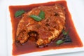 Spicy Bengali red fish curry, Indian fish curry Royalty Free Stock Photo