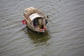 A gipsy women and her family traveling a boat through the Ichamoti River, near of Dhaka city.