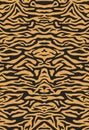 Bengali tiger fur, seamless background. Animal skin, striped symmetrical pattern, print for fabric. Vector Royalty Free Stock Photo